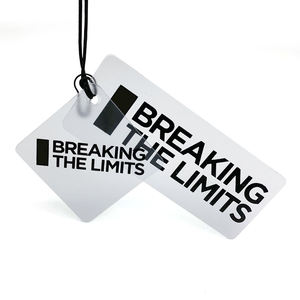 Printing Manufacturer Customize logo <b>Tag</b> Transparent PVC Card Custom UV logo Translucent Plastic Swing <b>Tag</b> Clothing Hangtag - Product Image 6
