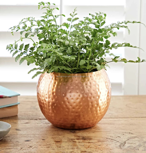 Olla de acero inoxidable Alto en forma recta Acero inoxidable Stock Lijado Precio muy razonable - Product Image 5