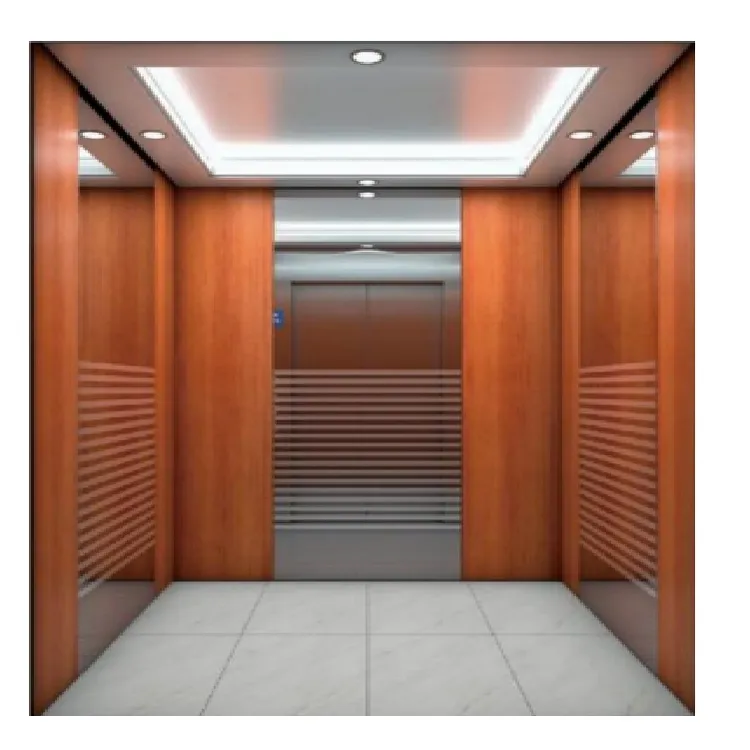 MSDS3フロアインタリジェントラグジュアリーヴィラリフトVVVF住宅用エレベーター販売用