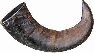 Corne creuse de buffle d'eau indien naturelle, toutes tailles, pour chien, technique brute, haute qualité, étanche, vente chaude - Product Image 2