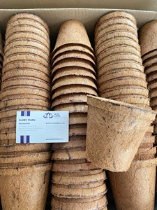 Pot en fibre de coco écologique Blue Lotus, très demandé |   Pot de fleurs rond biodégradable pour plantes d'intérieur, style campagnard, ferme - Product Image 6
