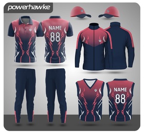 Conjunto completo de uniforme y pantalones de jersey con cuello de cricket de la mejor calidad disponible a un precio razonable en la India - Product Image 4