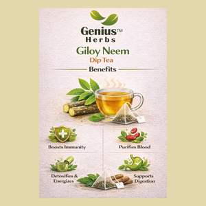 Le thé biologique Giloy Neem Dip est une mélange d'herbes de qualité supérieure conçu pour favoriser la détoxification naturelle et soutenir l'équilibre corporel. - Product Image 3