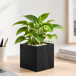 Maceta de madera natural, macetero de madera maciza, maceta de madera, macetero minimalista para interiores, decoración sostenible para el hogar - Product Image 2