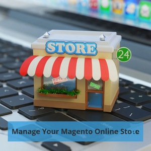 Tienda Apex Personalizada en Magento: Soluciones Definitivas de Comercio Electrónico que Optimizan las Operaciones y Maximizan el Impacto de la Tienda Online - Product Image 1