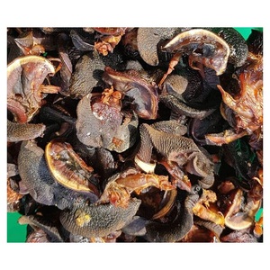 Caracoles Gigantes Africanos Recién Secados de 5-8 cm, Carne de Caracol Exótica Rica en Proteínas, 100% Procesada Naturalmente, Envasada al Vacío, 25 kg a Granel - Product Image 6