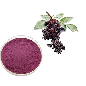 Melhor Qualidade Pura e Natural Secas Black <span class=keywords><strong>Elderberry</strong></span> Fruit Extract Powder a Preço de Atacado da Índia