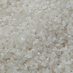 Riz japonica de qualité supérieure, parfumé, 5% cassé, exportation en vrac au Vietnam, certifié ISO et HACCP de VILACONIC. - Product Image 3
