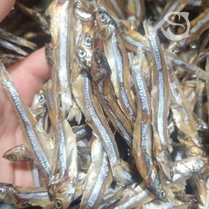 Anchoas Secas de Alta Calidad, Grado Premium, Cumplen con el Estándar de Exportación, 100% Pescado Seco, con Congelación IQF y Empaque a Granel - Product Image 4