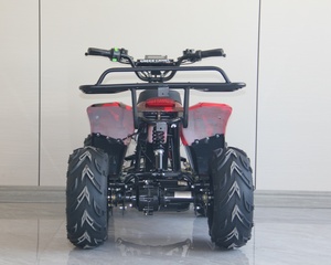 <span class=keywords><strong>Quad</strong></span> électrique <span class=keywords><strong>mini</strong></span> ATV <span class=keywords><strong>800W</strong></span> tout-terrain pour jeunes, prix de gros direct usine - Product Image 4