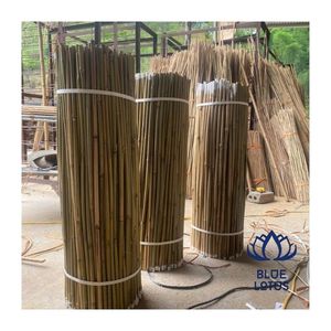 SUPERIOR <b>MATERIAL</b> <b>Bamboo</b> Cane Clean Source for Construction Support and Decoration Use Strong Smooth Easy Handling - Product Image 1