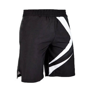 Shorts de kickboxing et pantalons de Muay Thai pour l'entraînement et la compétition en arts martiaux, shorts de combat MMA de haute qualité personnalisés - Product Image 2