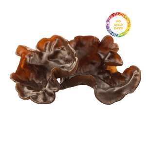 Venta al por mayor de hongos oreja de diablo (kikurage) de Vietnam directamente de fábrica para tiendas minoristas: colección de hongos nutritivos de moda - Product Image 5