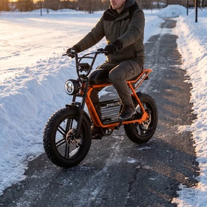 Bici Elettrica Robusta con Pneumatici Larghi e Portapacchi Centrale, E-bike per Ogni Condizione Meteo, Ideale per Spostamenti Invernali su Sentieri Innevati - Product Image 4