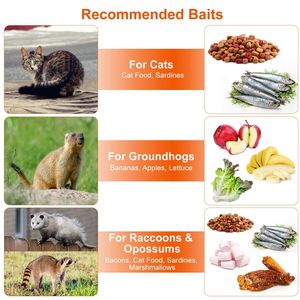 Trampa de Alambre Galvanizado para Gatos, Plegable, con Liberación de Animales Vivos, Atrapa Roedores Pequeños, Mapaches, Marmotas y Animales Pequeños - Product Image 4