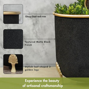 Jardinière en métal noir avec pieds décoratifs à motif de feuilles, élégante et moderne, pour plantes d'intérieur et d'extérieur, salon, bureau - Product Image 4