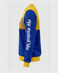 เสื้อสเวตเชิ้ตผู้หญิงสีน้ำเงิน-เหลือง คอวี แขนยาว ปักลายตัวอักษรกรีกด้านหน้า ผ้าคอตตอนผสม สำหรับฤดูหนาว - Product Image 3