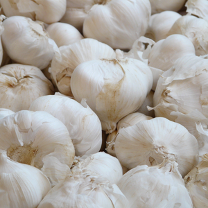Ail frais biologique naturel à prix avantageux / Ail frais de nouvelle récolte en vrac maintenant disponible en stock à prix abordable - Product Image 1