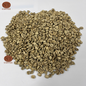 Café Vert Arabica Fraîchement Récolté Origine Vietnam Processus Entièrement Lavé Vente en Gros Meilleur Prix Exportation Directe Usine - Product Image 1
