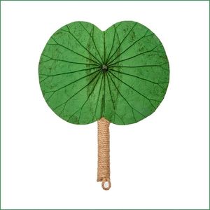 Abanico de hoja de loto, estilo loto, para la elaboración de accesorios, productos naturales, artesanías de Vietnam - Product Image 6