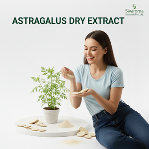 Extracto Seco de Raíz de Astrágalo de Alta Calidad para Exportadores e Importadores en Mercados de Ingredientes Botánicos - Product Image 5