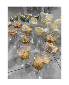 Vaso Decorativo de Concha Marina para Regalos en Resorts, Tiendas de Hotel y Decoración de Restaurantes Costeros - Product Image 6