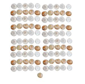 Gomati Chakra en bois authentique original (108 pièces de 1 cm) |   Polissé et énergisé pour la Puja Lakshmi, Vastu, prospérité et protection de la maison - Product Image 1