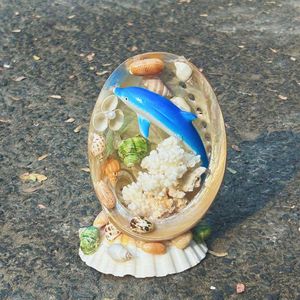 Coquillages naturels de haute qualité pour sublimer vos événements, décorations de plage et aménagements aquatiques - Vente en gros - Product Image 5