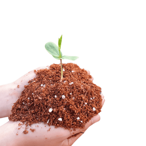 Cocopeat Eco Friendly Renewable Biodegradable <b>Soil</b> Conditioner <b>Soil</b> Improvement Block 1kg Premium Jumbo <b>Bag</b> Vietnam Binh Dinh - Product Image 1