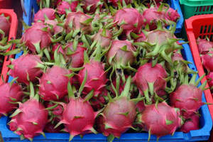 NATURALMENTE DULCE Y RICO EN NUESTROS NUESTRA FRUTA DE DRAGÓN CONGELADA PREMIUM ES UNA OPCIÓN SALUDABLE - Product Image 5