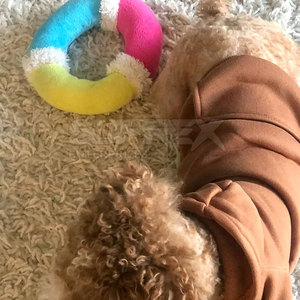 Sweat à capuche pour chien élégant, simple, de haute qualité, doux, chaud, respirant, en coton et polyester, vêtement d'hiver 2026 - Product Image 2