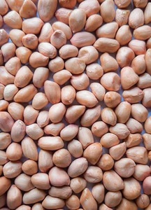 Cacahuètes entières séchées naturelles, croquantes, riches en protéines, sans additifs, qualité alimentaire, collation pour enfants et adultes, longue durée de conservation - Product Image 3