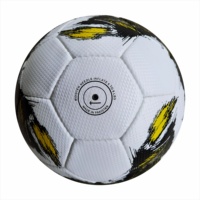 Ballon de football TEQVOLY officiel, cousu à la main, léger, design unique, en cuir/PU, modèle -CC-002, fabriqué en PK