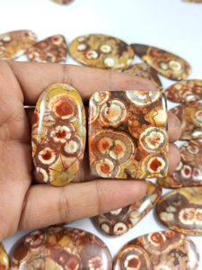 Piedra preciosa ojo de pájaro a granel para joyería, cabujón de jaspe ojo de pájaro, piedras de diseño, piedra preciosa suelta para collar, pulida a mano - Product Image 2