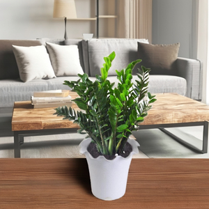 Best Seller <b>Pot</b> for Decorating Home and Garden, <b>Tall</b> Wave Edge <b>Pot</b> with High Quality Plastic - Product Image 1