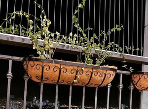 Jardinières en fibre de coco écologiques de qualité supérieure pour semis, fleurs, herbes et projets d'agriculture durable - Product Image 4
