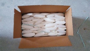 Precio apropiado-Pienso seco para ganado Compre huesos de sepia de la mejor calidad de Vietnam - Product Image 3