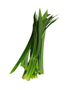 LAS HOJAS DE PANDAN NATURALES PROPORCIONAN UN SABOR DE ALTA CALIDAD A LOS POSTRES Y BEBIDAS A PRECIOS COMPETITIVOS PARA EXPORTACIÓN EN 2026. - Product Image 5