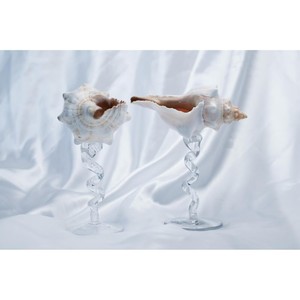 Fabriqué à partir de verre transparent de haute qualité et orné de détails inspirés des coquillages pour un attrait décoratif raffiné et une brillance durable. - Product Image 2