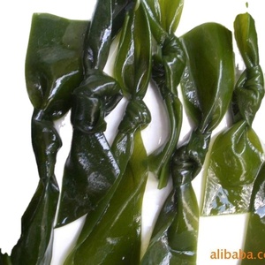 Algas marinas secas al por mayor <span class=keywords><strong>Gelidium</strong></span> algas secas kelp kont - Product Image 2