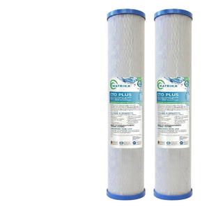 Filtre à charbon actif extrudé pour la réduction du chlore 20 x 4.5 Big Blue Water Fraîcheur toute saison - Product Image 1