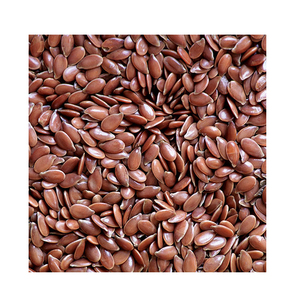 Semillas de Lino de Alta Calidad a Granel, Directo de Fábrica, Semillas Enteras con Alto Contenido de Fibra (28%) para Consumo Humano - Product Image 3
