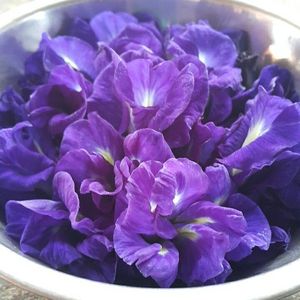 Flores de Guisante Mariposa Secas Listas para Suministro, Pétalos Azules Naturales, Té Herbal, 18 Meses de Vida Útil, Bebida, Venta al por Mayor a Granel, Uso EXPAD - Product Image 4