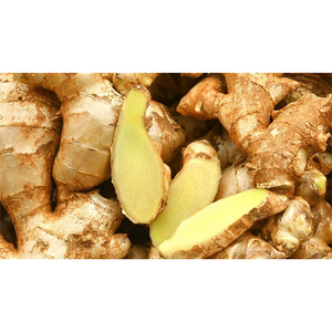 Gingembre frais de haute qualité pour la vente en gros, gingembre frais professionnel pour l'exportation, gingembre jaune 100% naturel, meilleur prix disponible - Product Image 2
