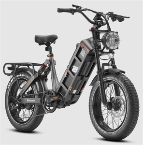 Vélo électrique industriel DIY E-ahora Juliet le plus vendu avec garantie de 3 ans, fabriqué au Pakistan - Product Image 3