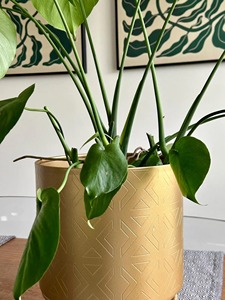 Stylish Gold Planter Pot With Stand Suitable For Home Decor Tabletop Plant Office <b>Display</b> And Interior Styling From India - Product Image 4