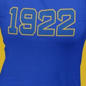 Camiseta gráfica desgastada personalizada SGRho 1922 para mujer, camiseta suave de manga corta de la hermandad griega Sigma Gamma Rho, ropa universitaria vintage - Product Image 2