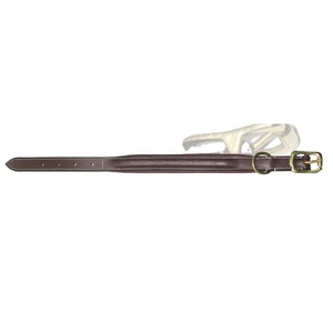 Collier réglable de chien, matelassé, de qualité, expédition rapide - Product Image 1