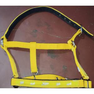 À VENDRE PP HORSE 3 PLIS HALTER AVEC ROUILLE RACCORD COULEUR VERT EN DOLLAR 2.5 CARTE DE CRÉDIT TAILLE ACCEPTÉE PLEINE COB - Product Image 6