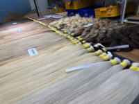 Extensions de cheveux humains VSVN couleur blonde en vrac, 100% vierges, cheveux vietnamiens bruts, double trame